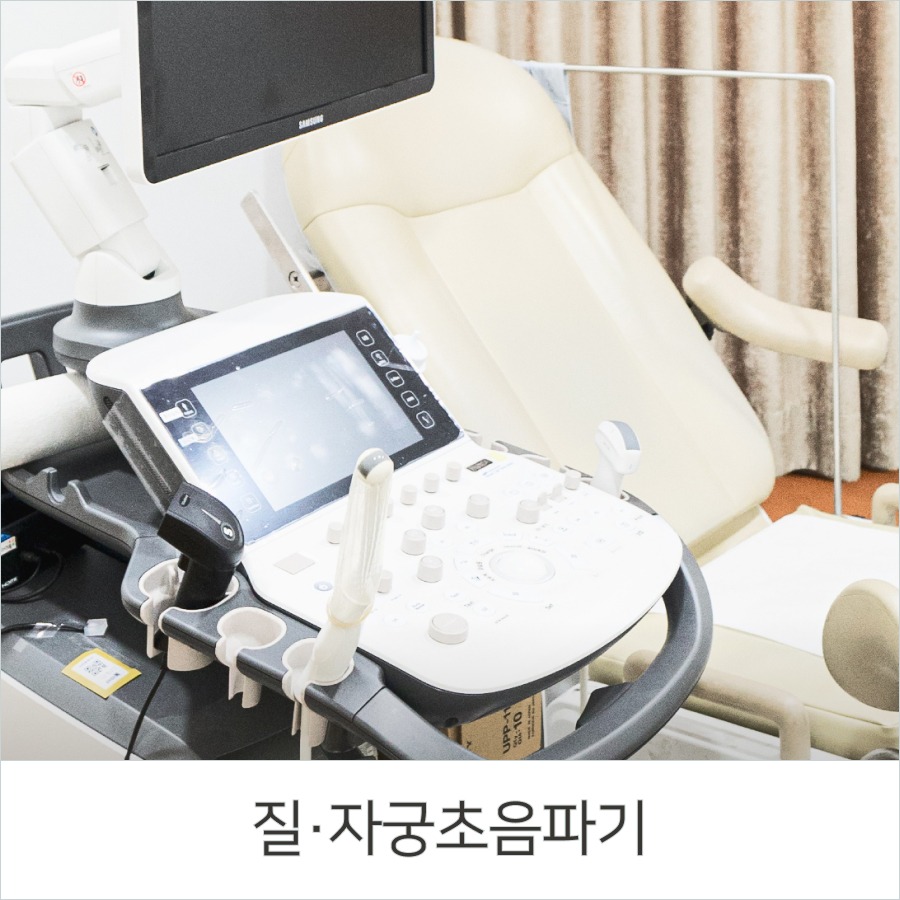 질/자궁 초음파기