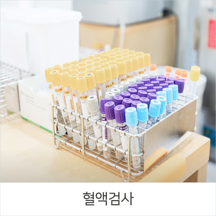 혈액검사